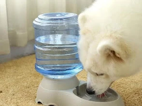 Pet Supplies
